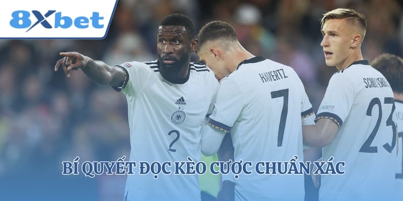 Bí quyết đọc kèo cược chuẩn xác như sách giáo khoa