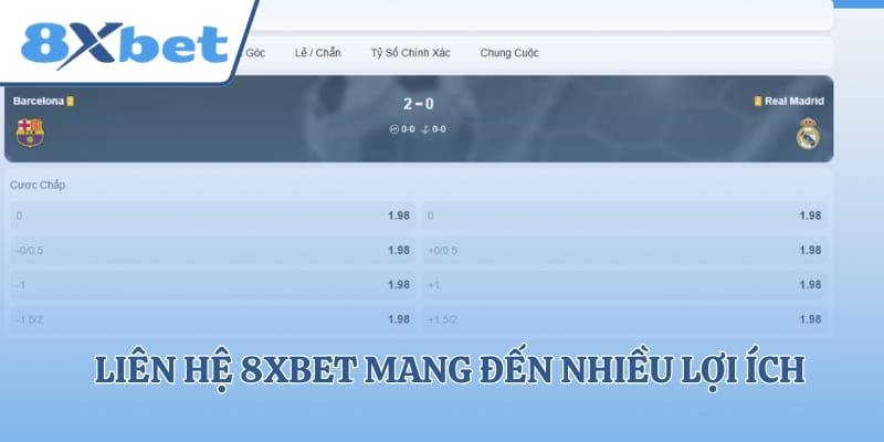 Liên hệ 8xbet mang đến nhiều lợi ích cho hội viên